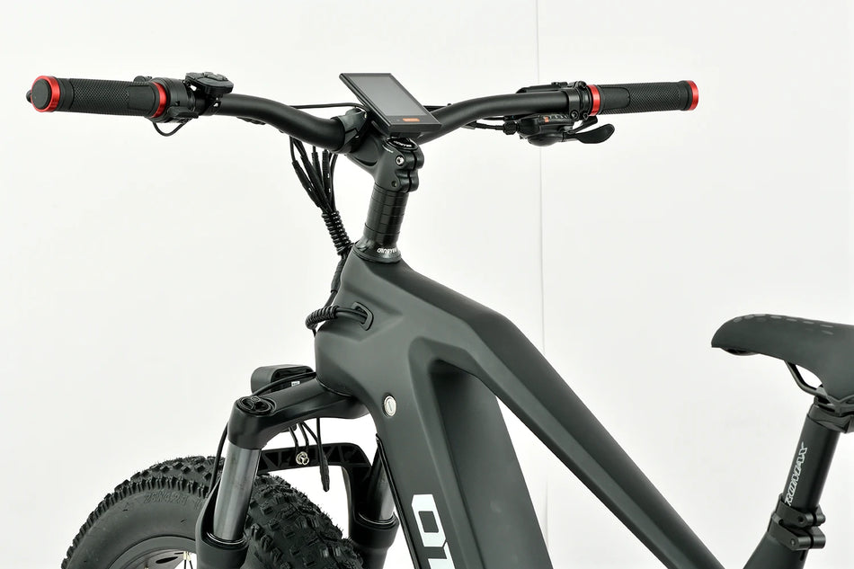 Removable Down-Tube Dual Lithium Battery on Lightweight Alloy Electric Mountain Bike for Long-Distance Riding