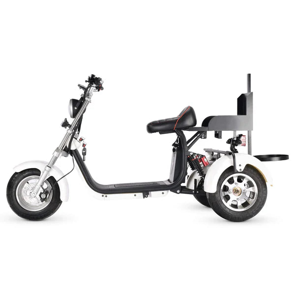 Motorcycle-style e-bike with steel frame and golf bag stand, built for 200kg max load