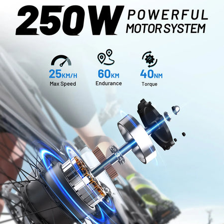 powerful 250W brushless motor