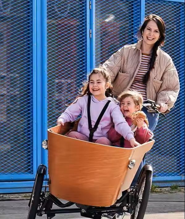 Hydraulic disc brake system on electric cargo trike for reliable stopping power