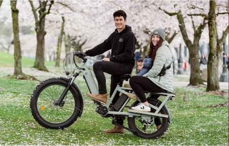 250kg load limit electric bike hauling groceries, gear, or DIY supplies