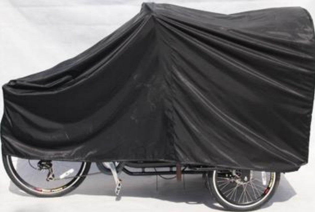 Family-friendly e-trike side view showing 1130x620x510mm cargo area with optional rain cover