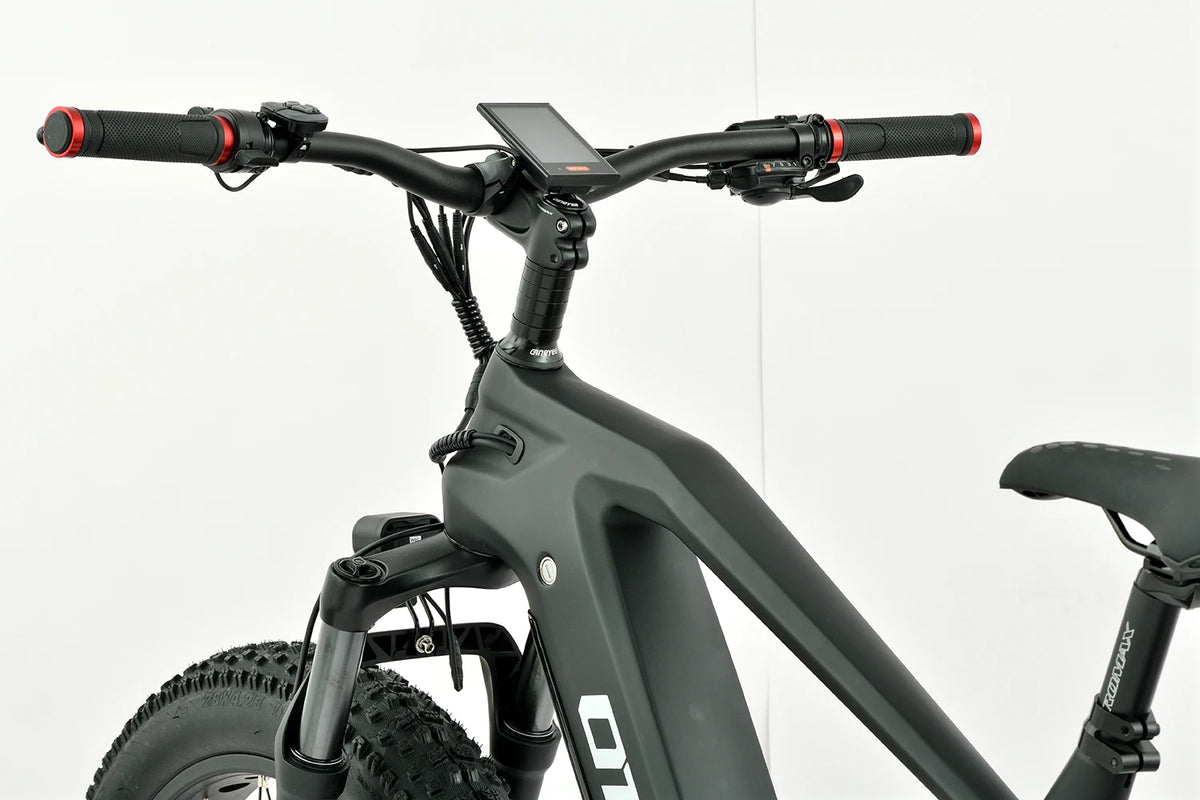 Removable Down-Tube Dual Lithium Battery on Lightweight Alloy Electric Mountain Bike for Long-Distance Riding