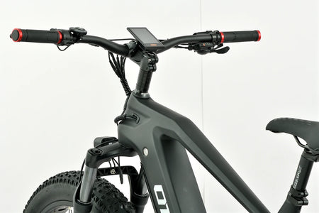 Removable Down-Tube Dual Lithium Battery on Lightweight Alloy Electric Mountain Bike for Long-Distance Riding