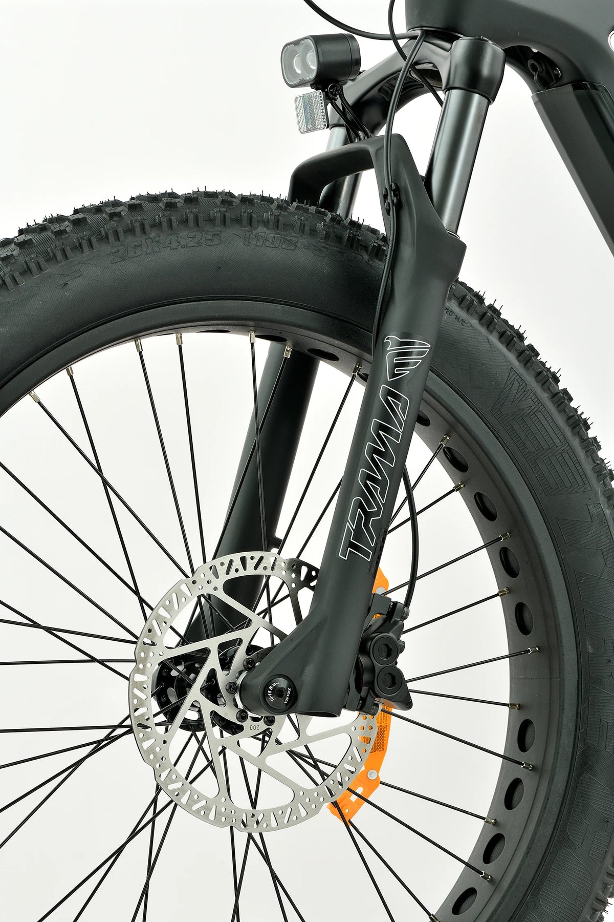 4.8-Inch Fat Tires on Electric Mountain Bike for Mud, Snow, and Rocky Terrain Grip