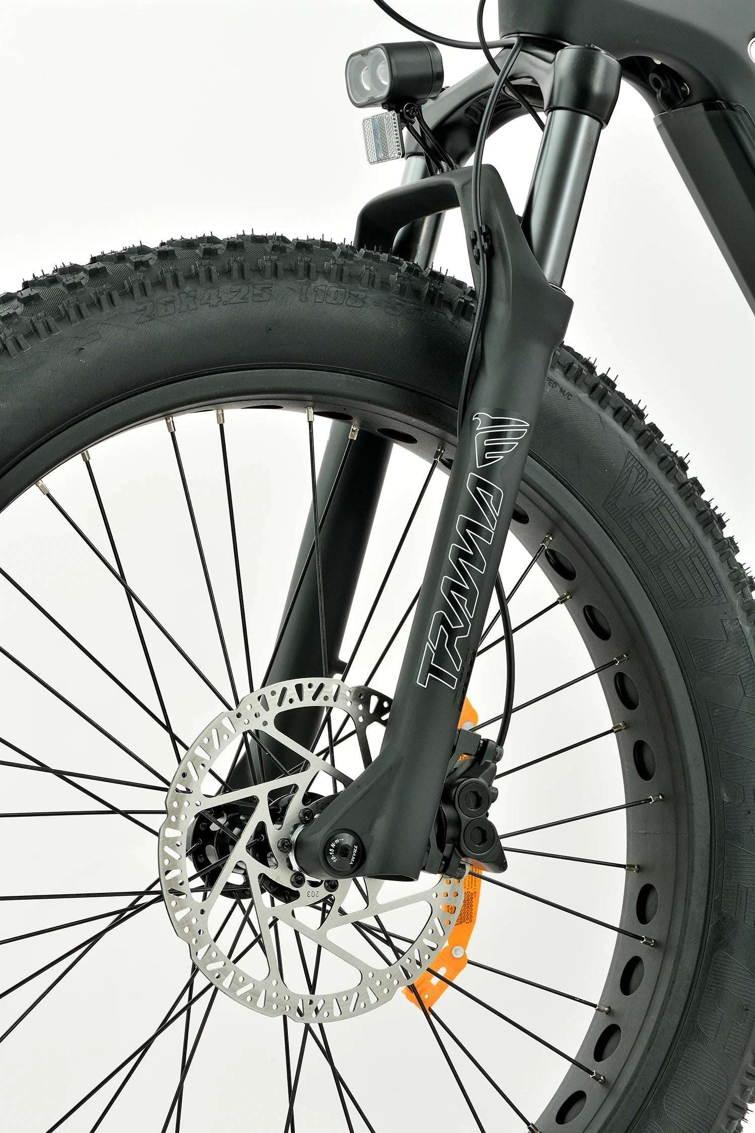 4.8-Inch Fat Tires on Electric Mountain Bike for Mud, Snow, and Rocky Terrain Grip