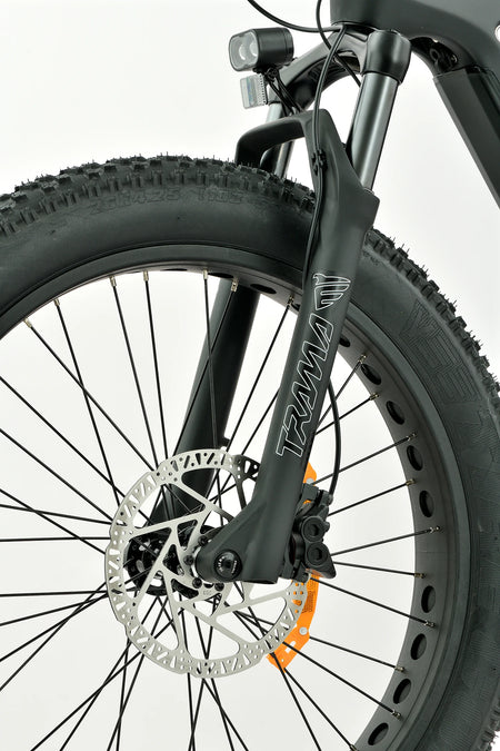 4.8-Inch Fat Tires on Electric Mountain Bike for Mud, Snow, and Rocky Terrain Grip