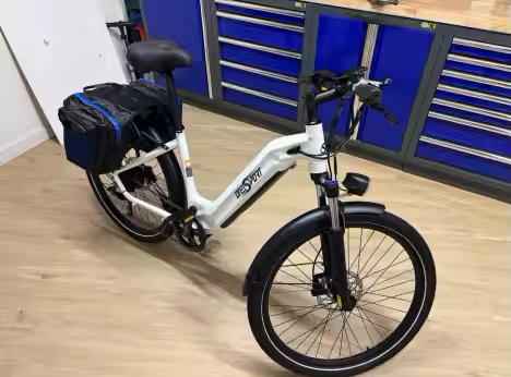 easily transport saddle bags for cargo